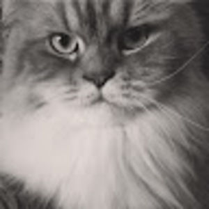 Meet your Posher, Sarah anne